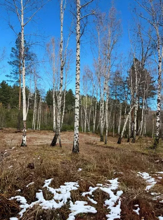Участок в Иркутская область, Иркутский муниципальный округ, Славное ... - Фото 1