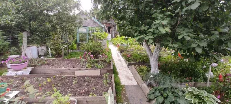 Дом в Свердловская область, Екатеринбург Связист-1 СТ,  (45 м) - Фото 2