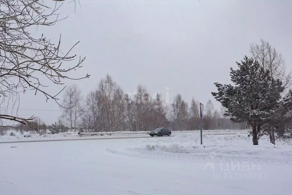 Участок в Кемеровская область, Новокузнецкий муниципальный округ, пос. ... - Фото 1