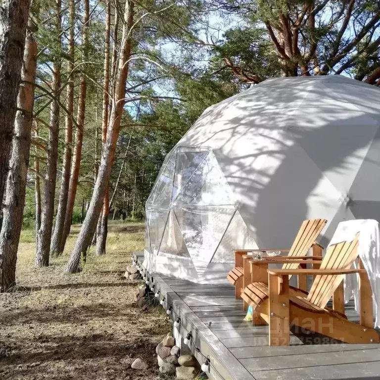 Дом в Ленинградская область, Волховский район, Потанинское с/пос, д. ... - Фото 1