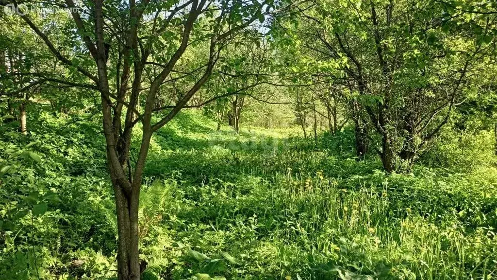 Участок в Костромская область, городское поселение Красное-на-Волге, ... - Фото 0