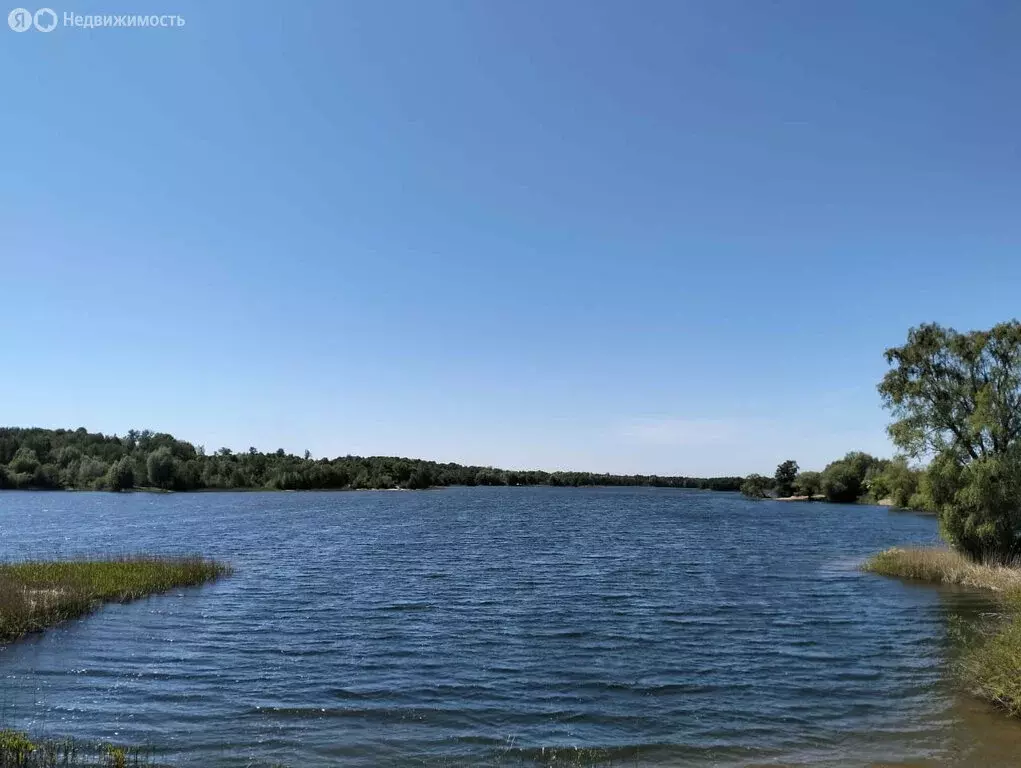 Участок в посёлок Озерки, Лесная улица (12 м) - Фото 2