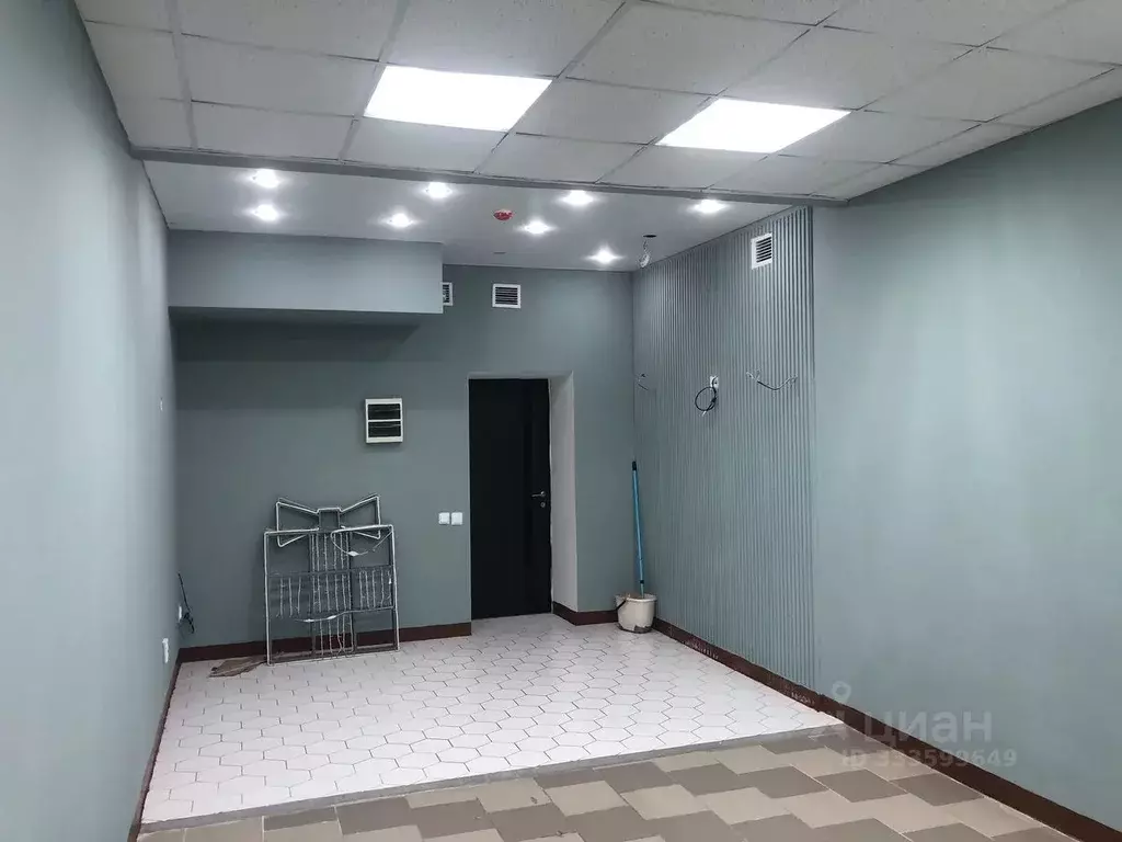 Помещение свободного назначения в Татарстан, Казань Гвардейская ул., ... - Фото 2
