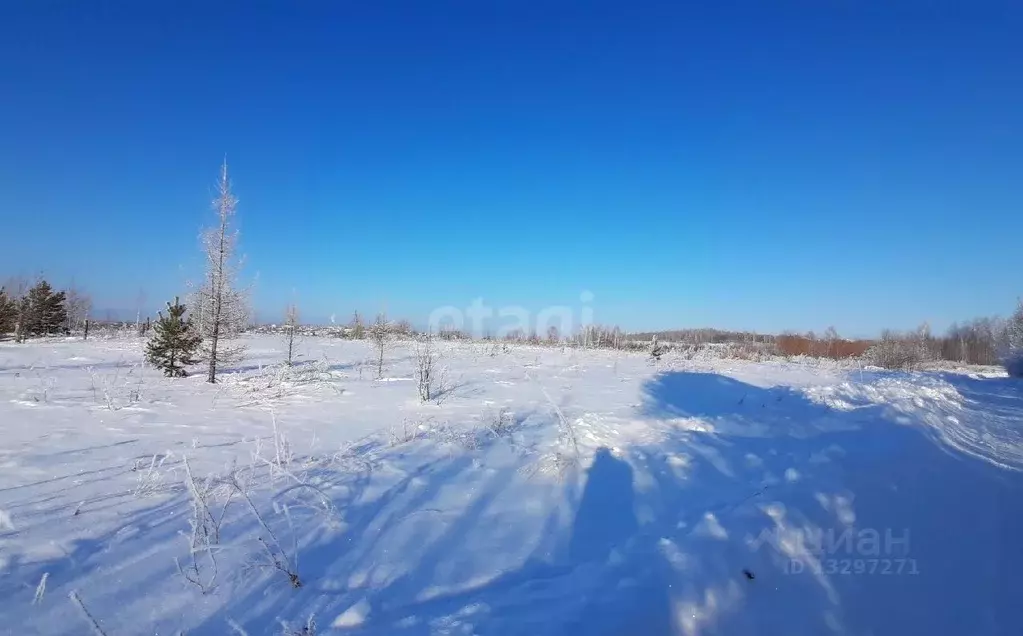 Участок в Свердловская область, Горноуральский городской округ, с. ... - Фото 1