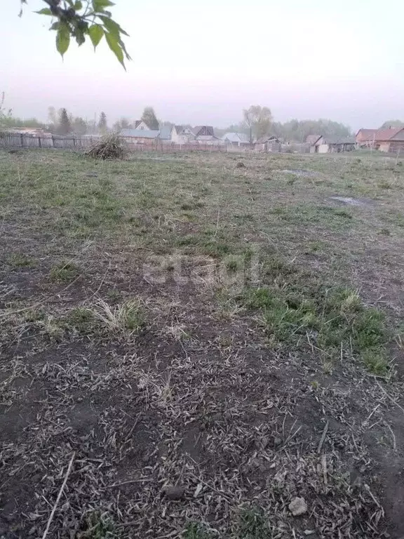 Участок в Алтайский край, Первомайский район, с. Бобровка Октябрьская ... - Фото 1