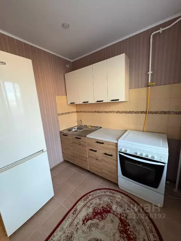 1-к кв. Брянская область, Брянск ул. Костычева, 86 (34.3 м) - Фото 2