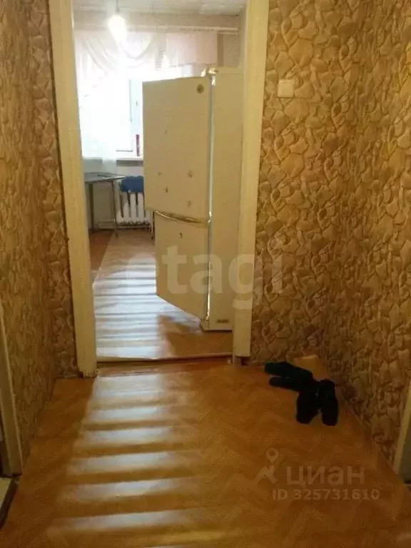 1-к кв. Курганская область, Курган просп. Конституции, 50А (26.0 м) - Фото 2