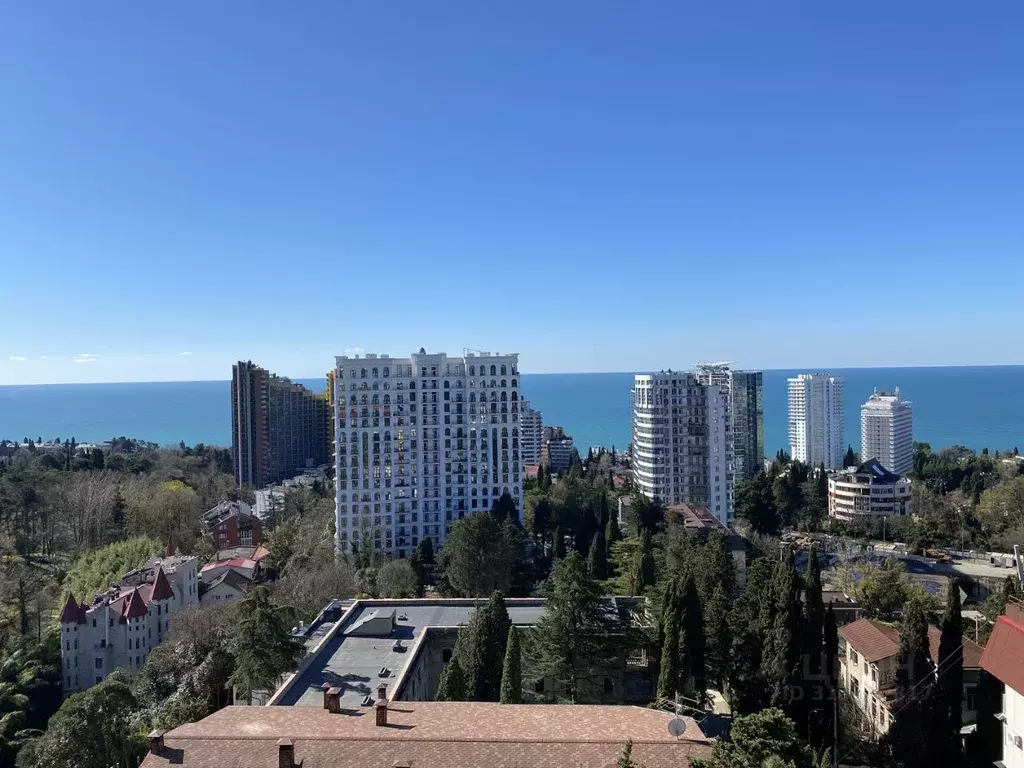 Студия Краснодарский край, Сочи Светлана мкр, ул. Депутатская, 10Б/1 ... - Фото 1