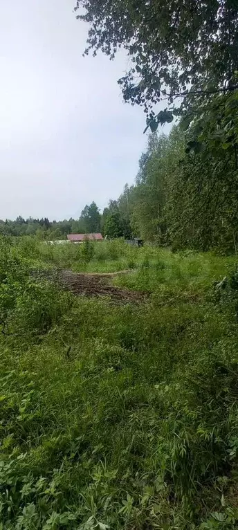 Участок 8 сот. (СНТ, ДНП) - Фото 0