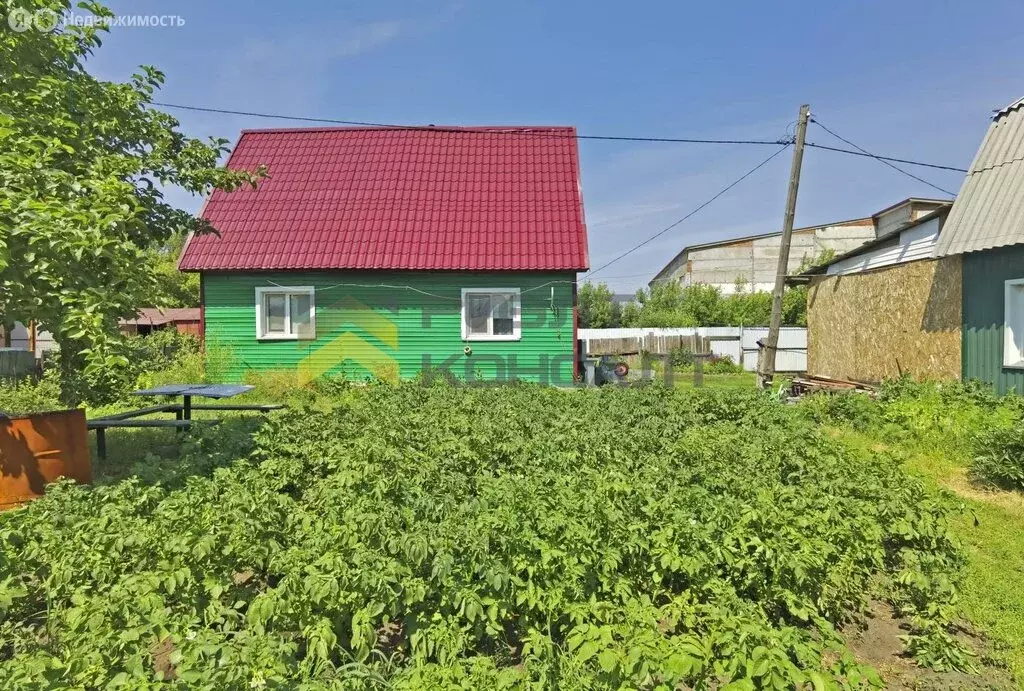 Дом в Омск, территория СОСН Берёзка, 24-я аллея (50 м) - Фото 1