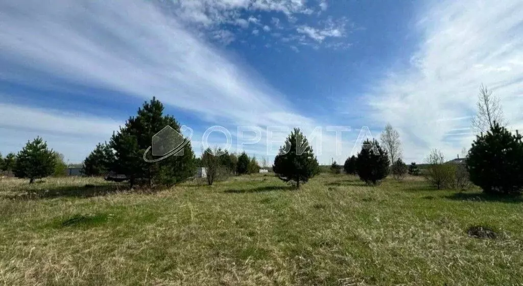 Участок в Тюменская область, Тюменский муниципальный округ, д. Елань ... - Фото 2