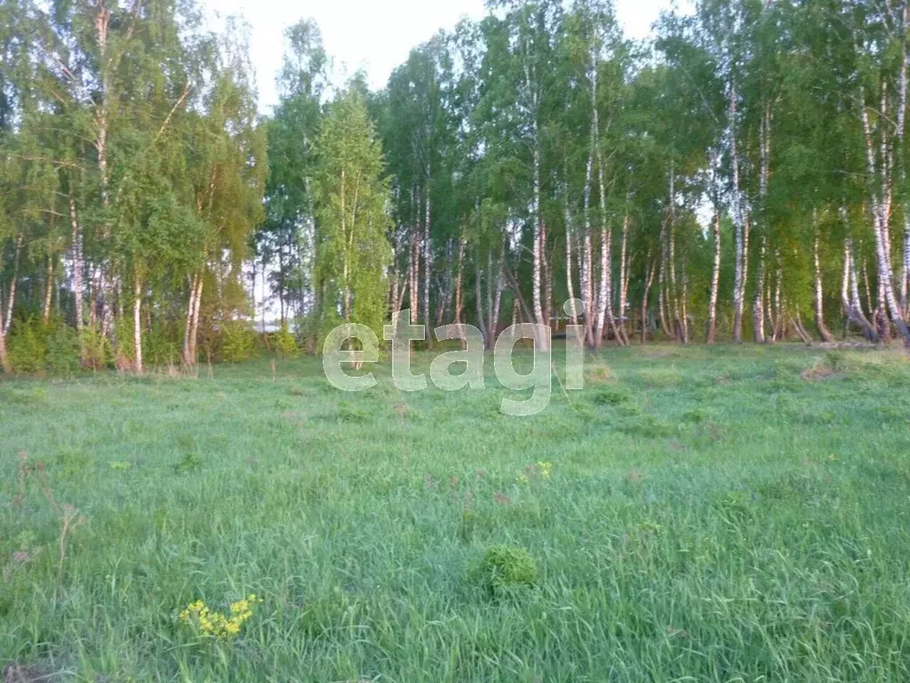 Участок в Калужская область, Калуга городской округ, д. Сокорево  (7.0 ... - Фото 0