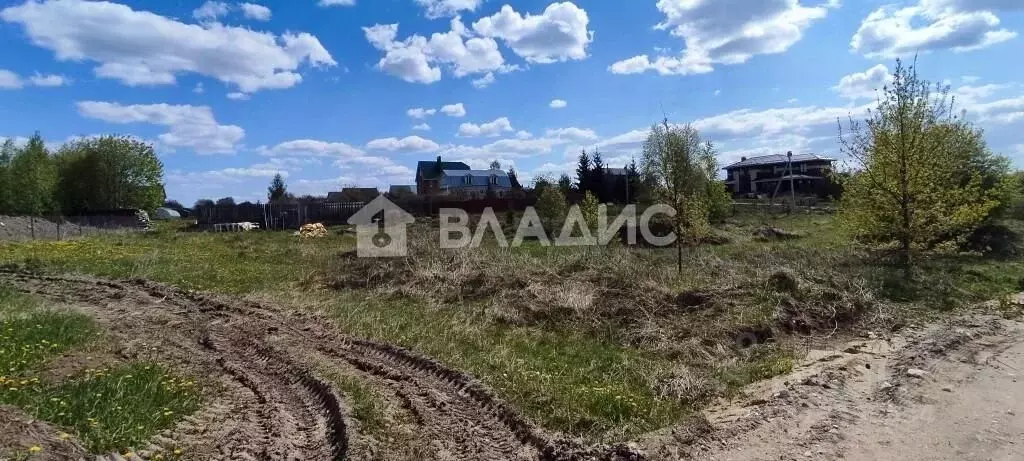 Участок в Владимирская область, Суздальский район, Боголюбовское ... - Фото 1