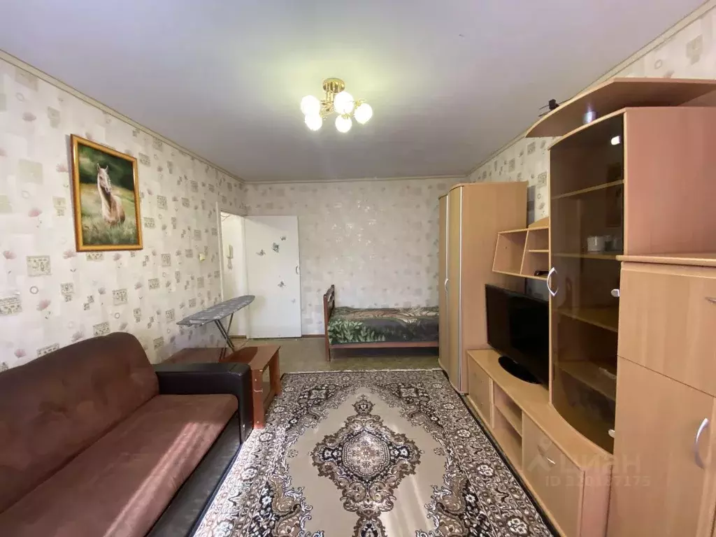 1-к кв. Ульяновская область, Димитровград ул. Славского, 16 (37.5 м) - Фото 0