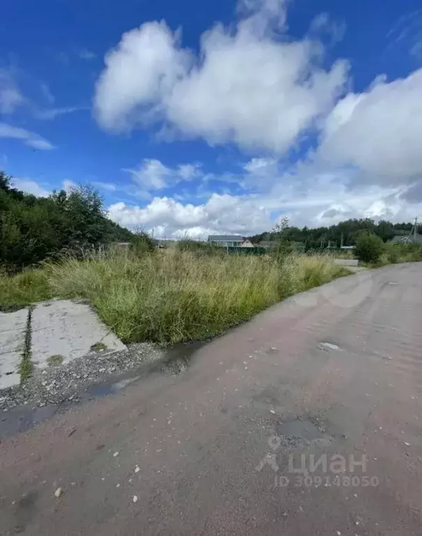 Участок в Ленинградская область, Выборгский район, Рощинское городское ... - Фото 1