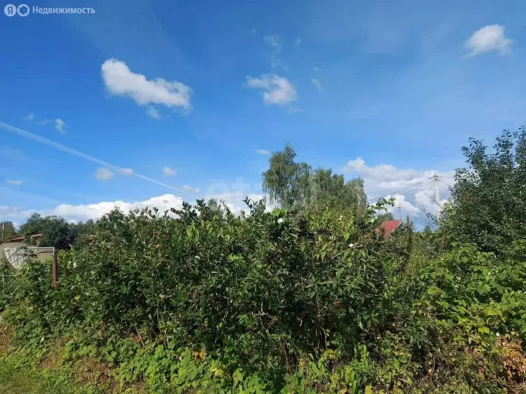 Дом в Рыбинск, СНТ Звезда (15 м) - Фото 2