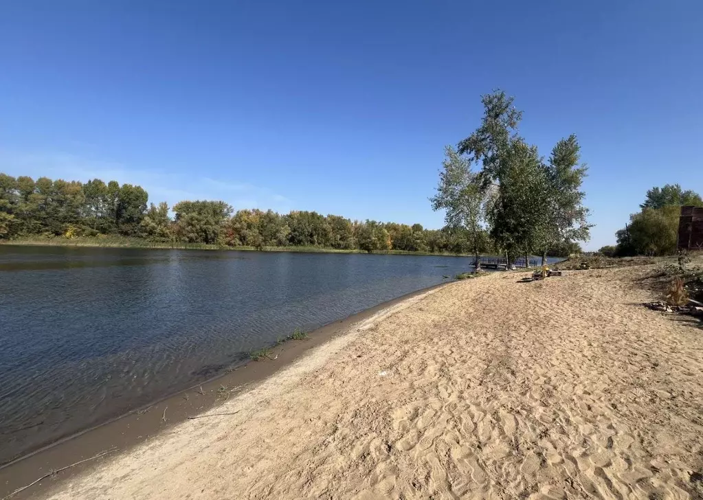 Участок в Саратовская область, Энгельсский район, Красноярское ... - Фото 1