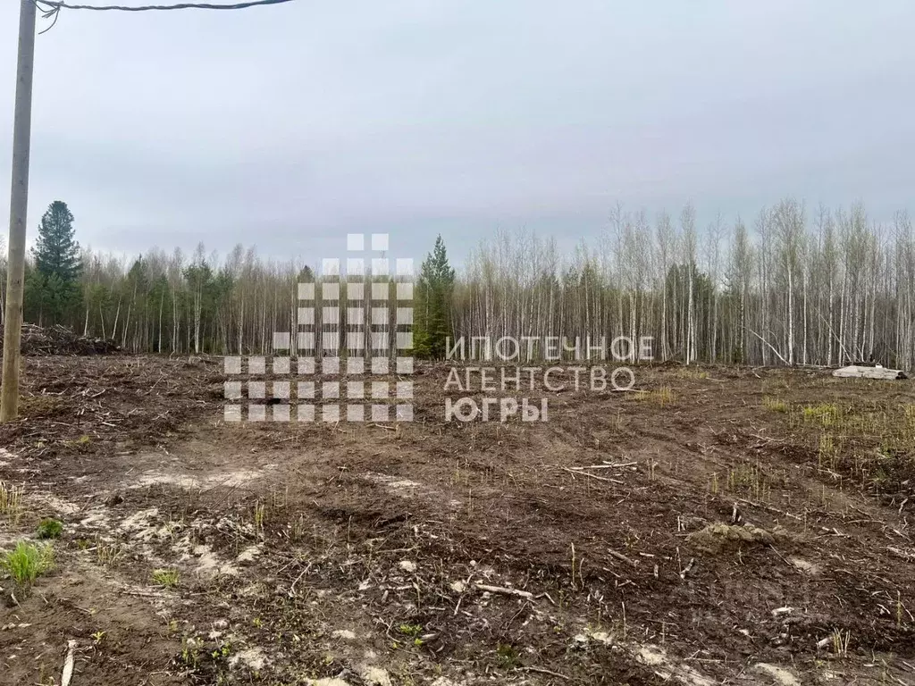 Участок в Ханты-Мансийский АО, Ханты-Мансийск Мир СОНТ,  (15.0 сот.) - Фото 0