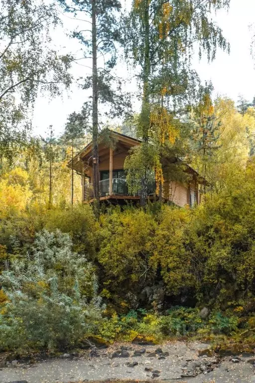 Дом в Алтай, Майминский район Р-256 Чуйский тракт, 477-й км (32 м) - Фото 1