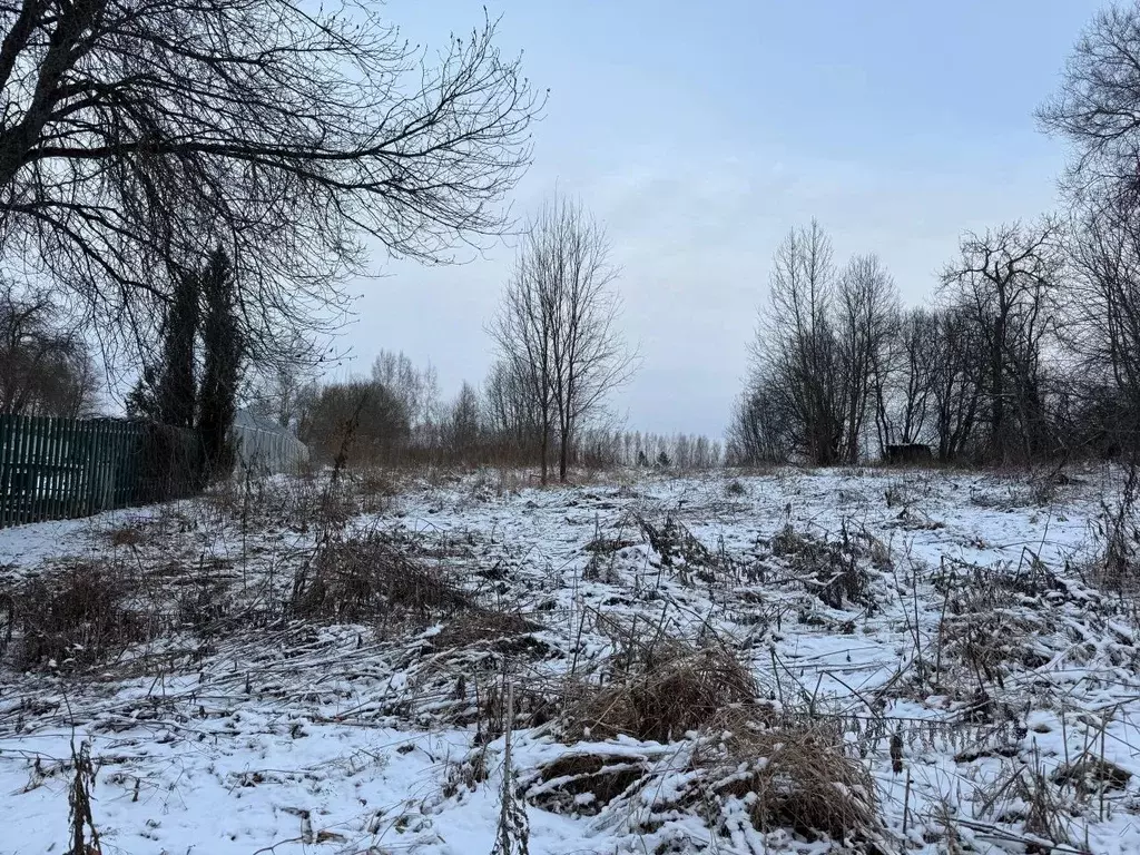 Участок в Московская область, Волоколамский муниципальный округ, с. ... - Фото 1