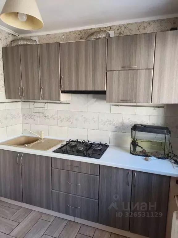 1-к кв. Калининградская область, Калининград ул. Куйбышева, 137 (31.1 ... - Фото 2