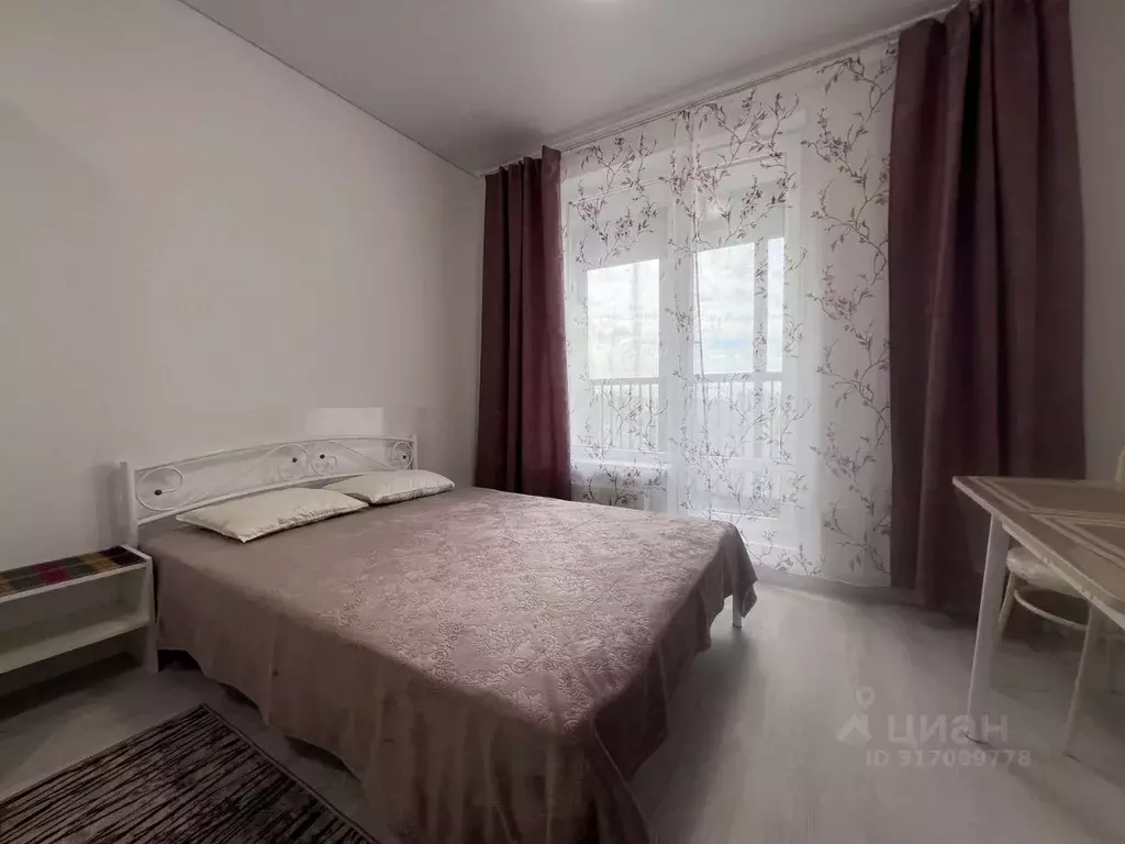 Студия Санкт-Петербург Светлановский просп., 14к1 (24.2 м) - Фото 1
