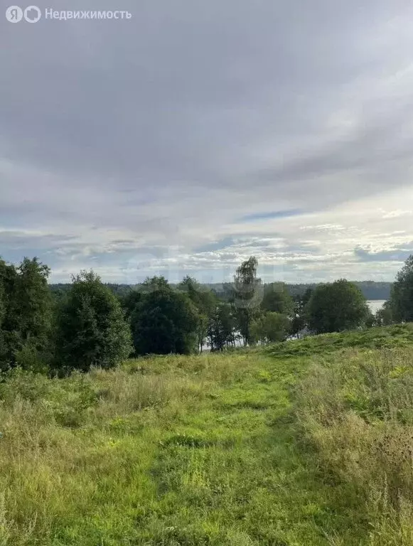 Участок в Выборгский район, Приморское городское поселение, посёлок ... - Фото 1