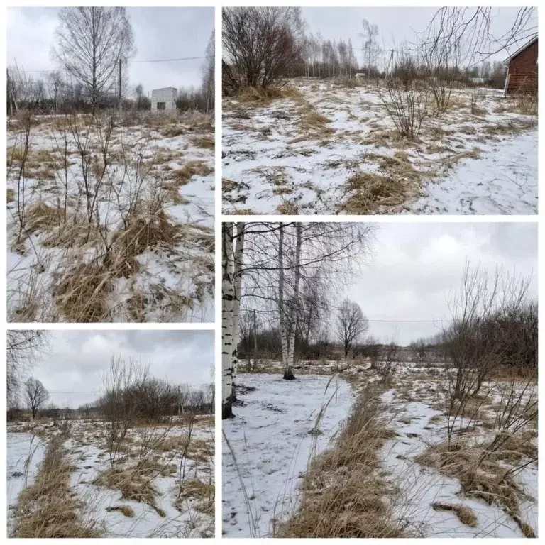 Участок в Костромская область, Костромской район, Шунгенское с/пос, ... - Фото 1