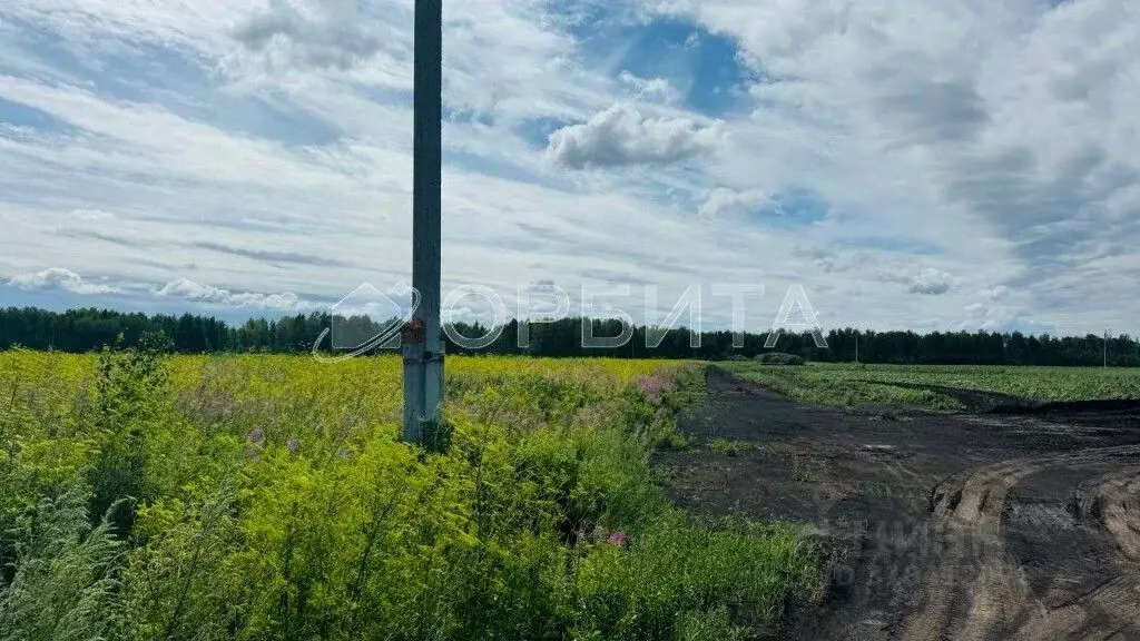 Участок в Тюменская область, Тюменский район, Новокаменский кп ул. ... - Фото 0