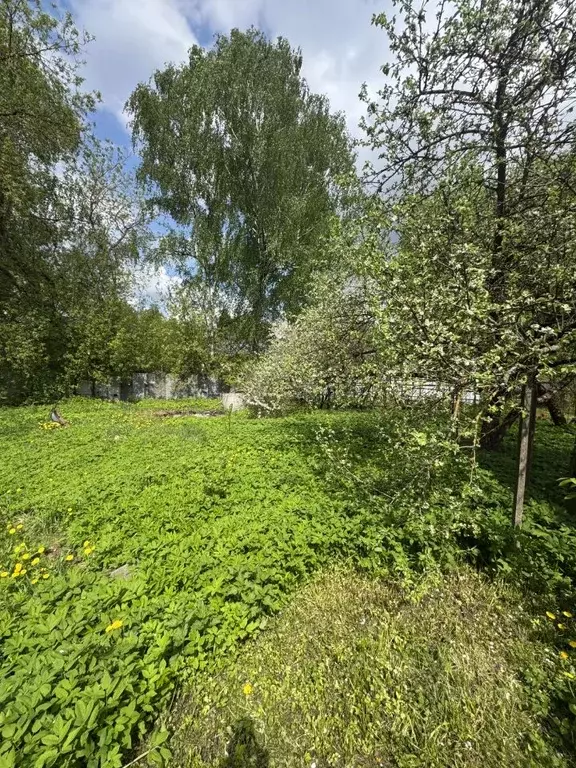 Участок в Московская область, Одинцовский городской округ, с. Дубки ш. ... - Фото 2