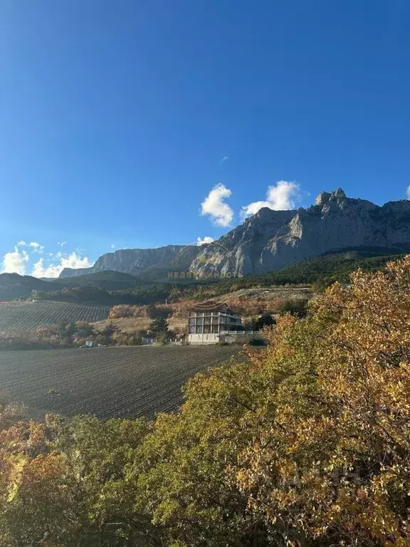 Участок в Крым, Ялта муниципальный округ, Кореиз пгт спуск ... - Фото 1