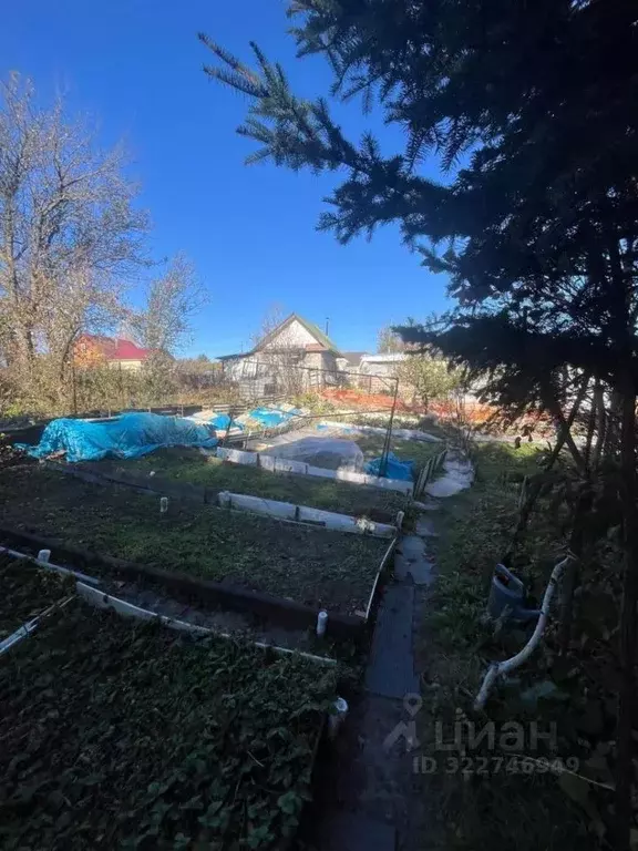 Дом в Хабаровский край, Хабаровск пл. Ленина (20 м) - Фото 2