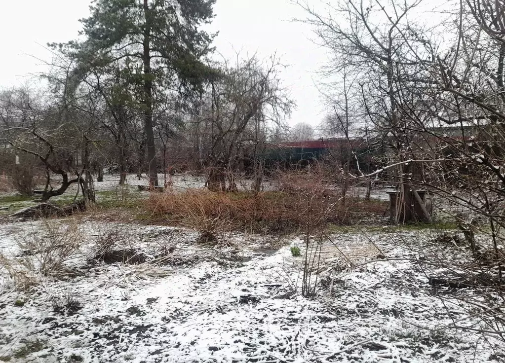 Участок в Московская область, Балашиха городской округ, д. Черное ш. ... - Фото 2
