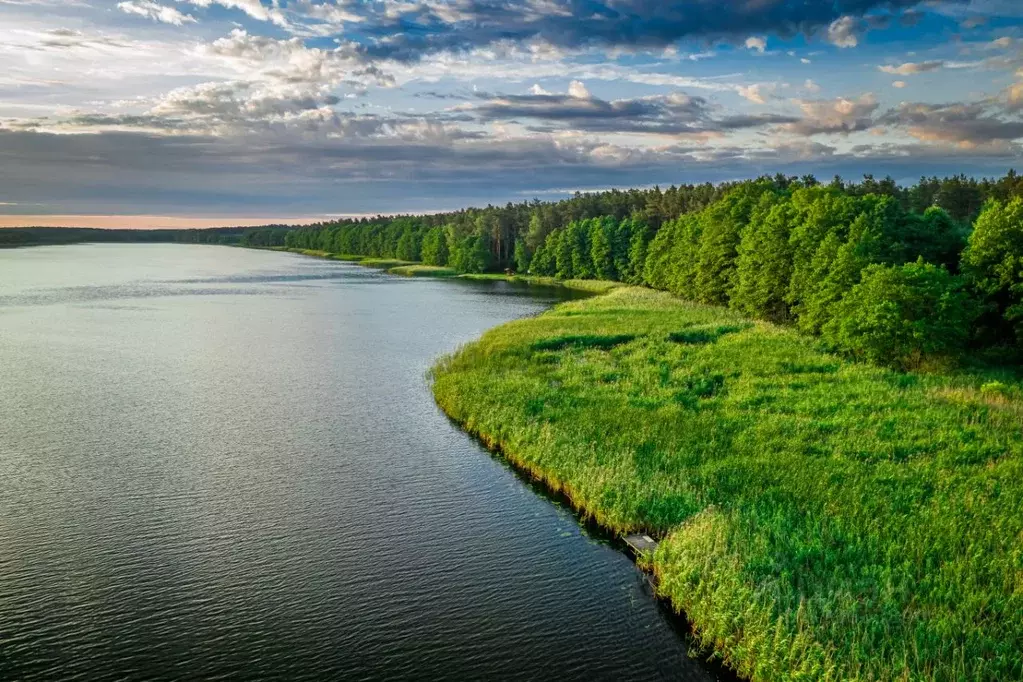 Участок в Тверская область, Кимрский муниципальный округ, с. ... - Фото 1