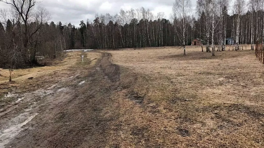 Участок в Московская область, Лосино-Петровский городской округ, д. ... - Фото 0