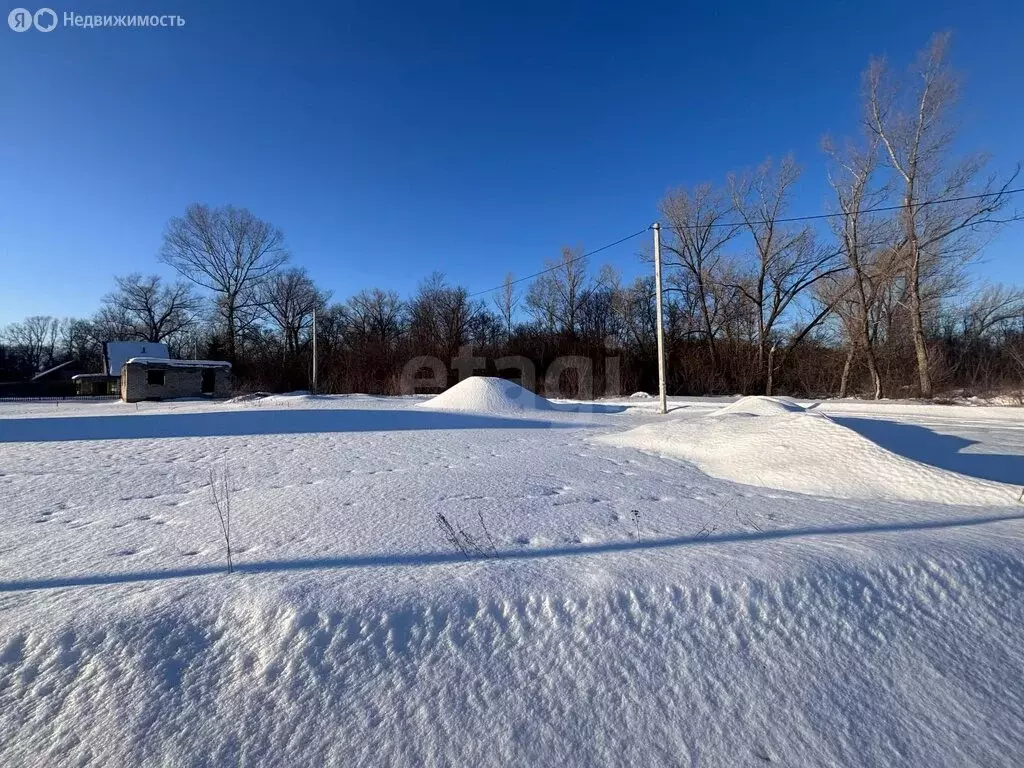 Участок в Наумовский сельсовет, СНТ Зелёный Затон (4 м) - Фото 2