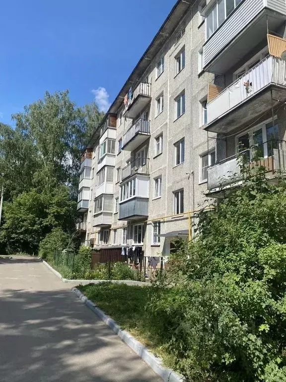 2-к кв. Московская область, Ногинск Богородский городской округ, ул. ... - Фото 1