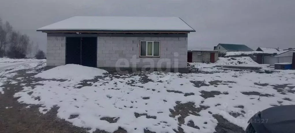 Дом в Брянская область, Брянск Большое Полпино пгт, ул. Чапаева (117 ... - Фото 0