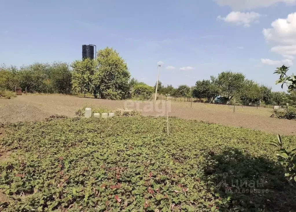 Участок в Белгородская область, Белгородский район, Беломестненское ... - Фото 1