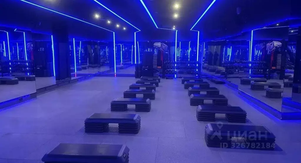 Помещение свободного назначения в Москва ул. Воздвиженка, 4/7С1 (480 ... - Фото 1