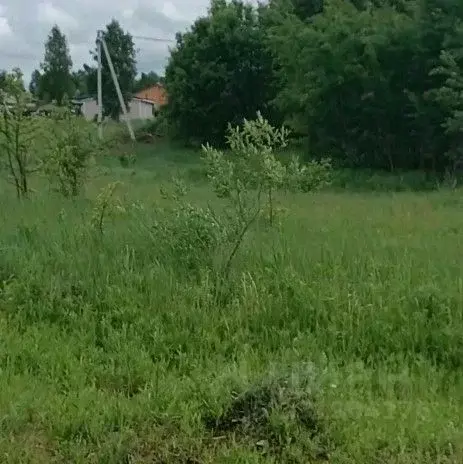 Участок в Московская область, Серпухов городской округ, д. Нефедово  ... - Фото 1