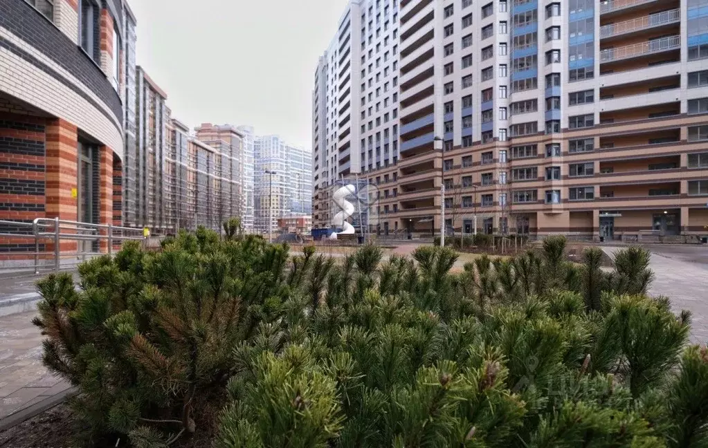 3-к кв. Санкт-Петербург Коломяжский просп., 13к3 (87.4 м) - Фото 1