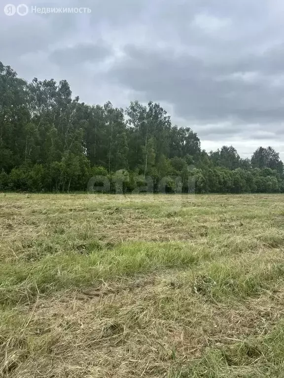 Участок в Калужская область, Тарусский муниципальный округ, сельское ... - Фото 1