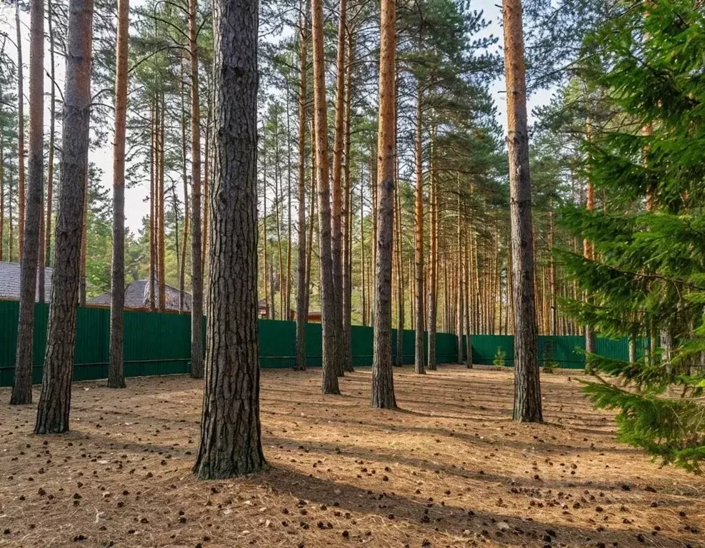 Участок в Московская область, Одинцовский городской округ, д. Фуньково ... - Фото 1