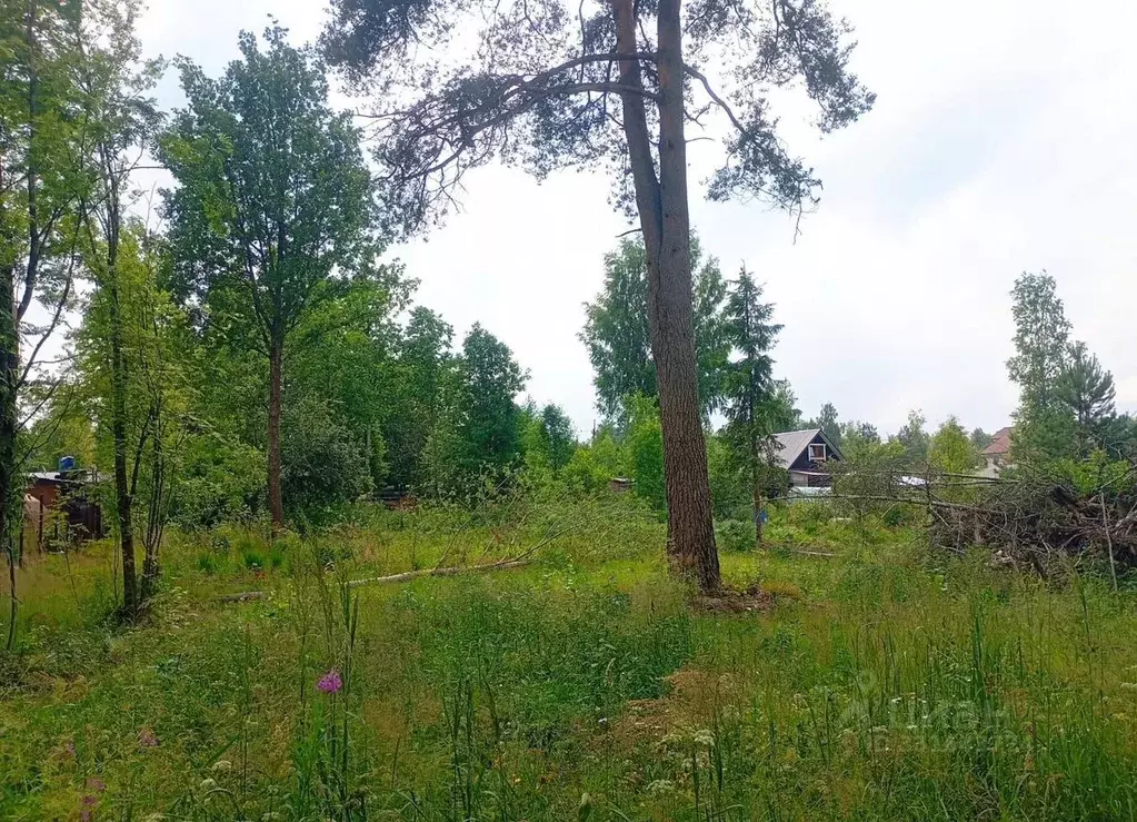 Участок в Ленинградская область, Кировский район, Мгинское городское ... - Фото 1