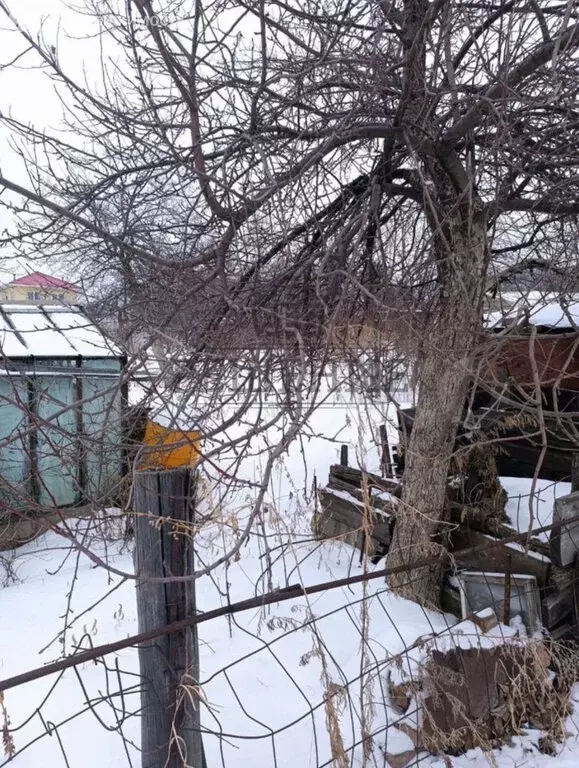 Дом в Челябинская область, Миасс (15 м) - Фото 1