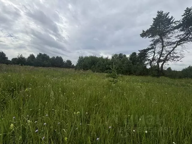 Участок в Московская область, Воскресенск городской округ, д. ... - Фото 1