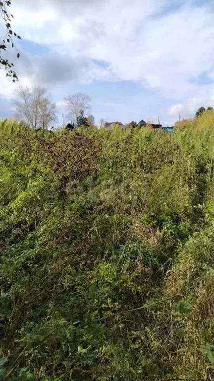 Участок в Красноярский край, Уяр г. Манско-Уярский округ, ул. Ленина ... - Фото 1