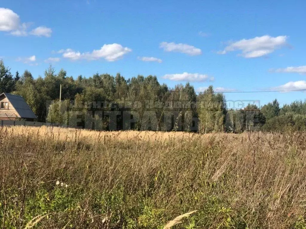 Участок в Смоленская область, Смоленский муниципальный округ, д. Борок ... - Фото 2