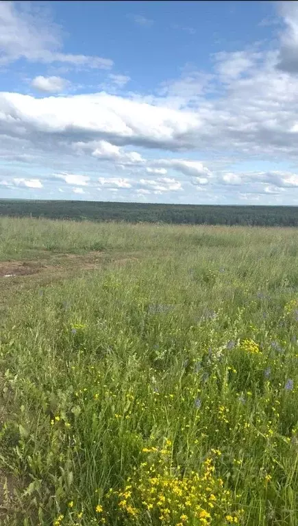 Участок в Кировская область, Слободской район, Ленинское с/пос, д. ... - Фото 1